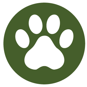 Pet/Animal Allergy Icon. Created by Elyse Briggs.