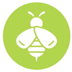 Insect Allergy Icon. Created by Elyse Briggs.